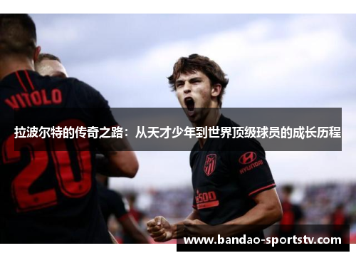 拉波尔特的传奇之路：从天才少年到世界顶级球员的成长历程